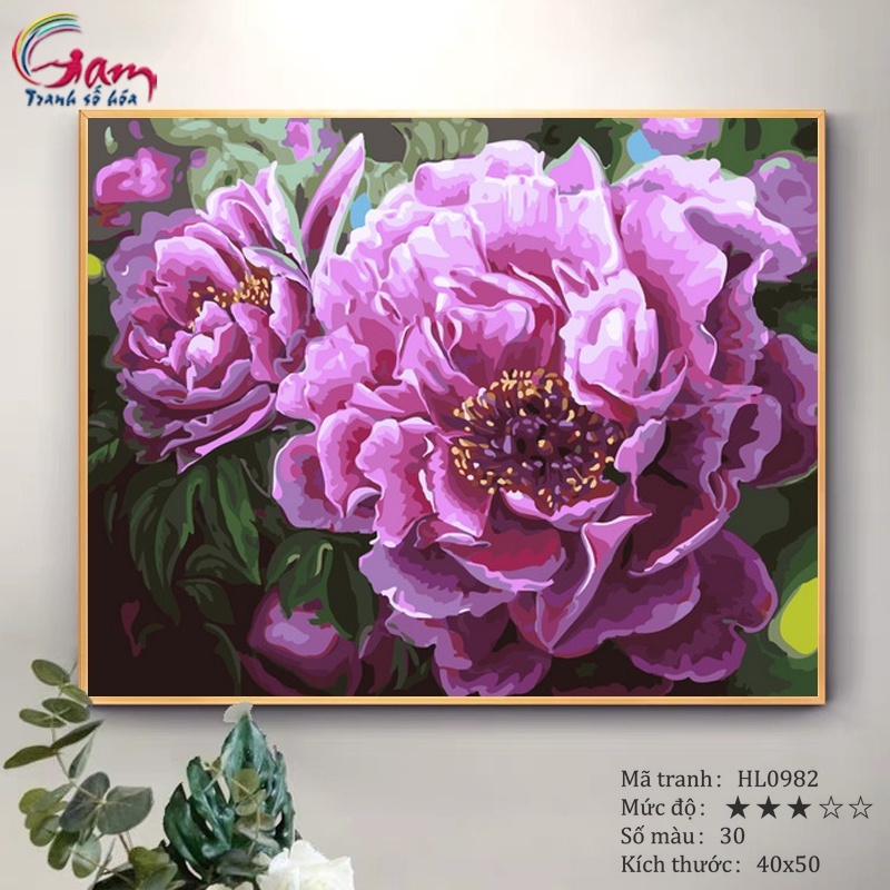 Tranh tô màu theo số hoa mẫu đơn có sẵn đã căng khung 40x50cm HL0982