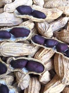 10 Hạt giống lạc đen