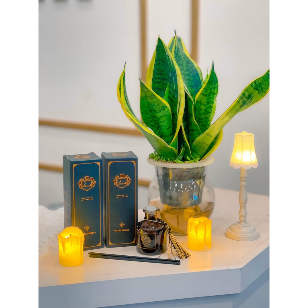 TINH DẦU THƠM CẬP BẾN RỒI ĐÂY Ạ🥰