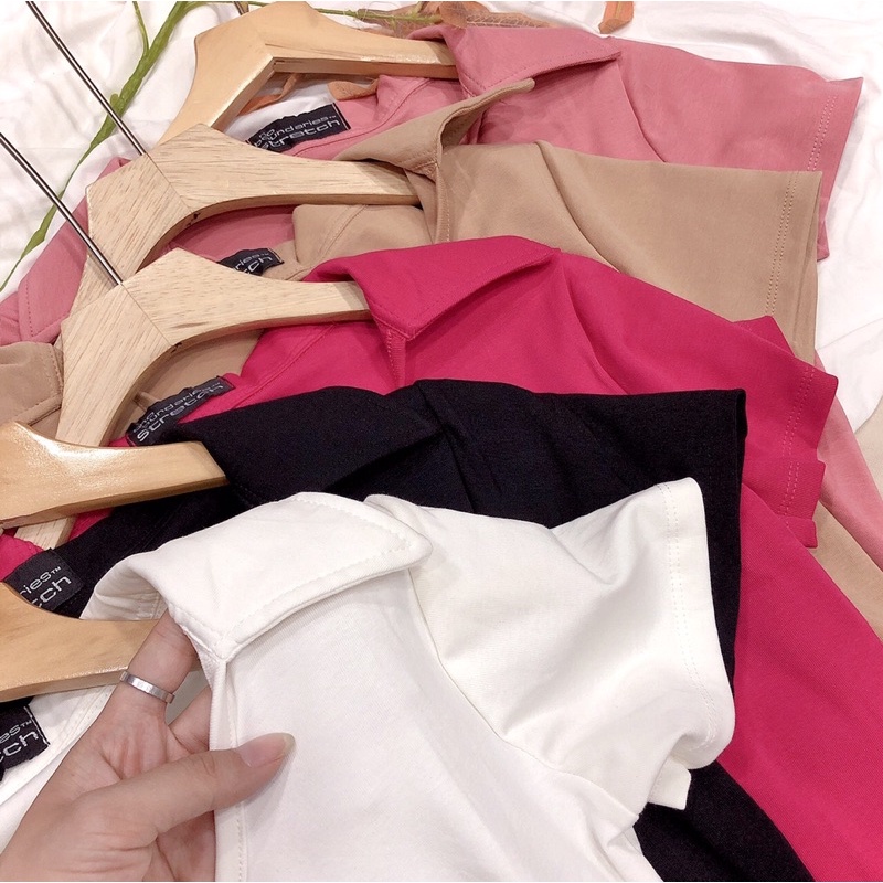 Áo thun polo croptop | BigBuy360 - bigbuy360.vn