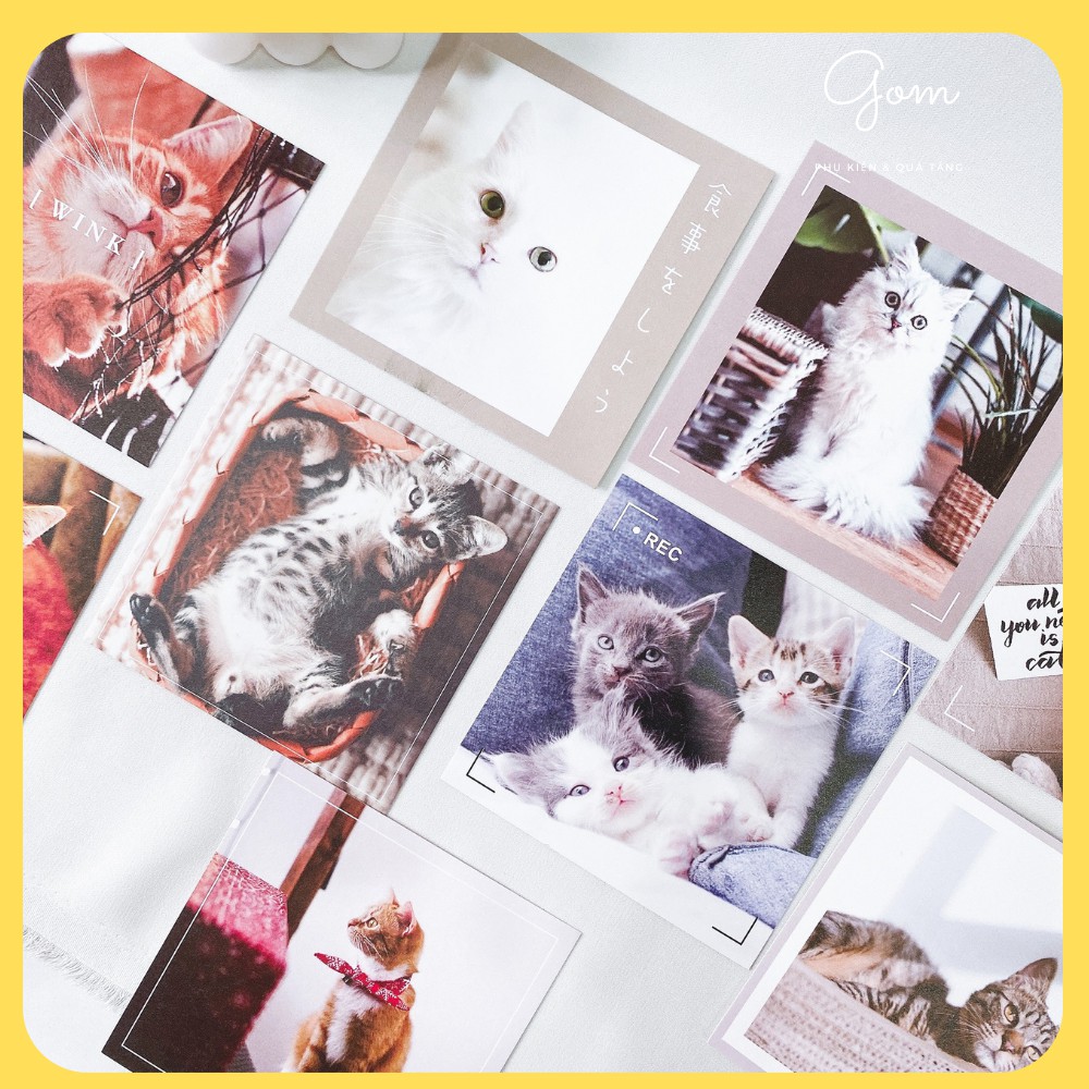 Set quà tặng học sinh dành cho bạn nữ/ set 9 món - Always Beside | BigBuy360 - bigbuy360.vn