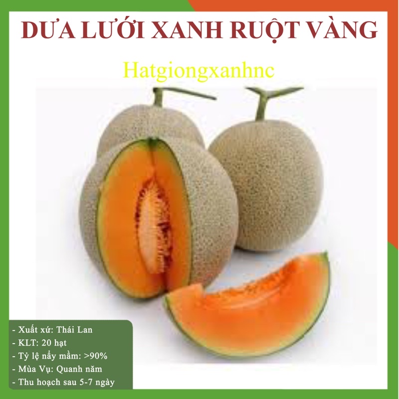 Hạt giống dưa lưới ruột vàng F1, gói 10 hạt, Rau củ quả trồng ban công, sân thượng.