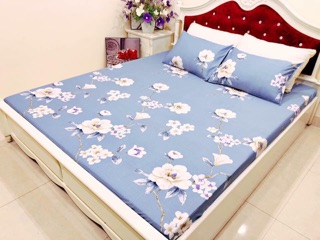 Bộ ga gối cottong lạnh