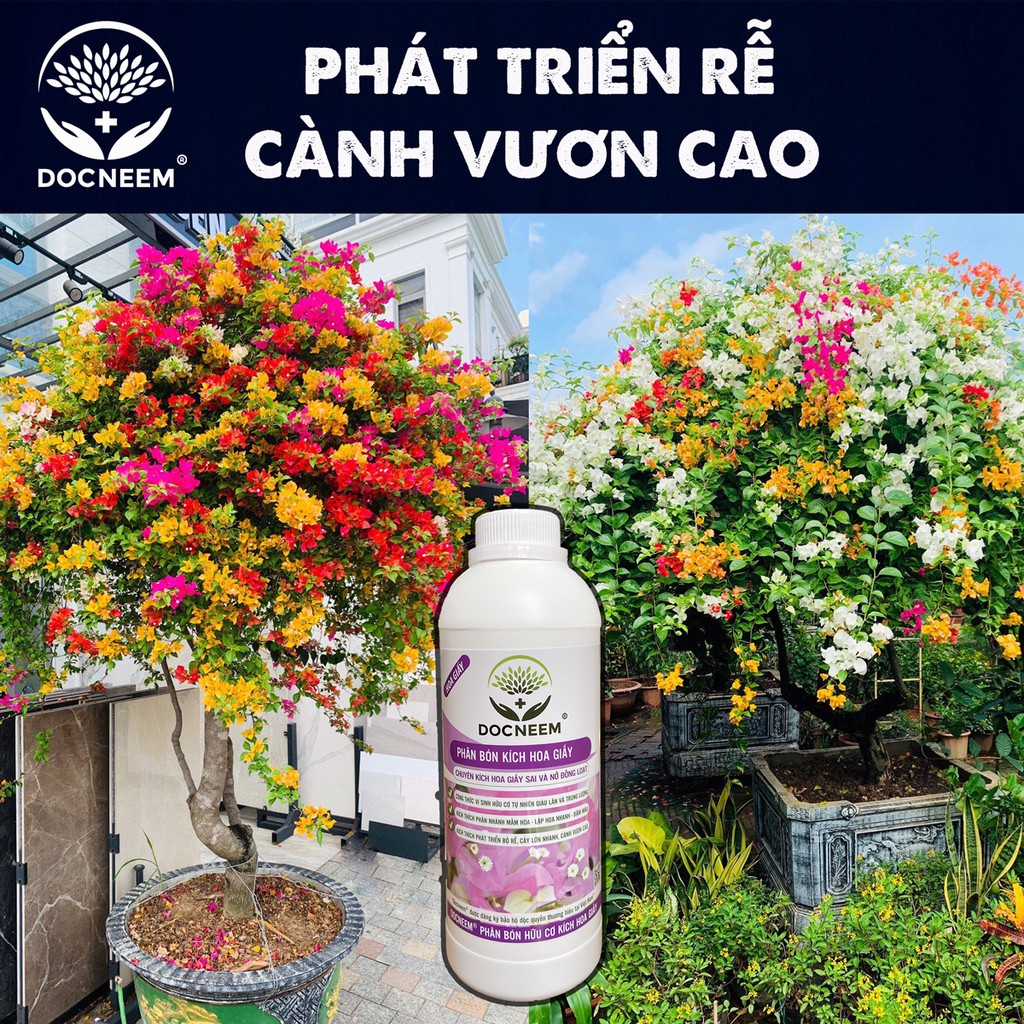 Phân bón hoa giấy DOCNEEM, kích bông giấy ngũ sắc, cẩm thạch, thái, mỹ sai hoa, lặp hoa nhanh, nở đồng loạt, chai 1 lít