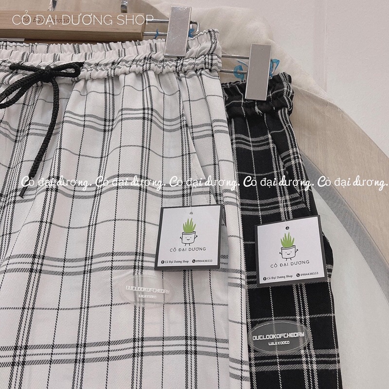 quần kẻ rút gấu logo