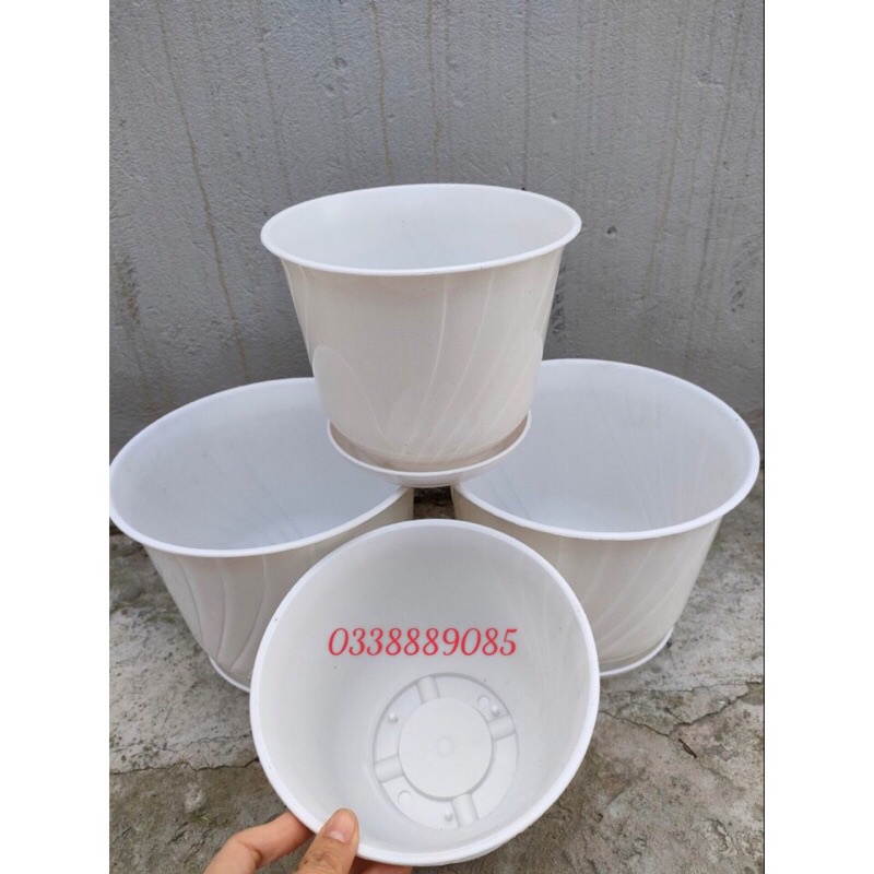 Chậu nhựa Bom kèm đĩa giả sứ trồng cây siêu xinh