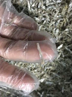 Cá cơm sữa 500 gr