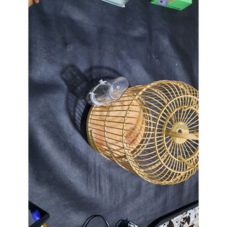 Bình đựng nước cho chim
