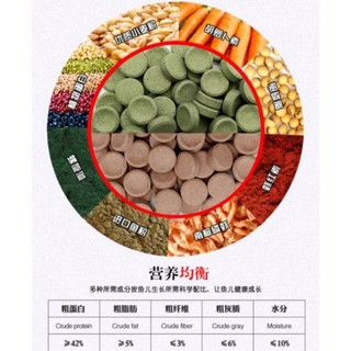 Cám viên dán cho cá cảnh