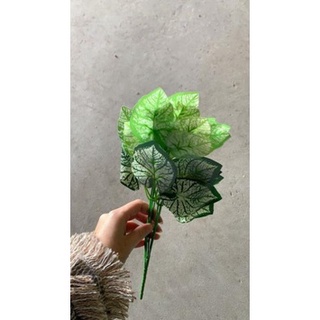 Lá giả - cụm lá đốm