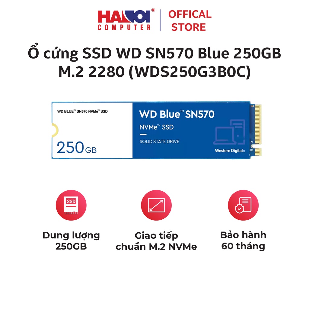 Ổ cứng SSD WD SN570 Blue 250GB/500GB M.2 2280 PCIe NVMe 3x4 (WDS250G3B0C)