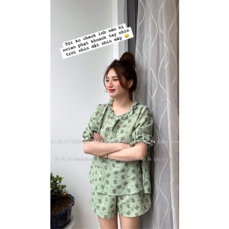 Sét mèo xanh cổ bèo chun