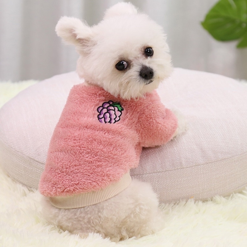 ÁO LÔNG CỪU TRÁI CÂY 4 MÙA CHO THÚ CƯNG