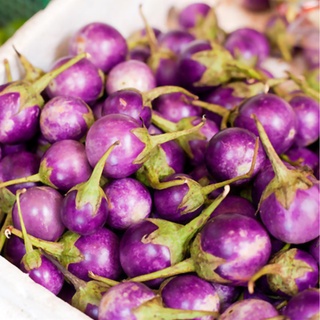 Hạt giống cà pháo tím 2g