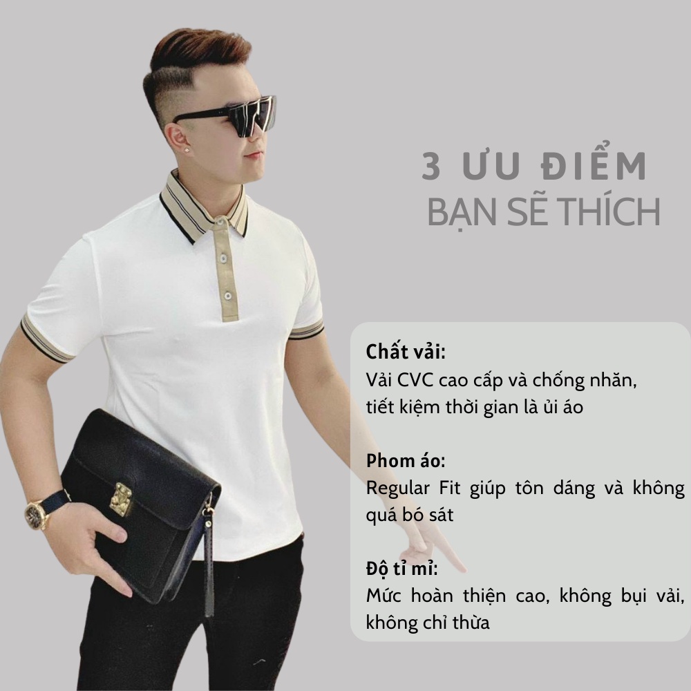 Áo thun polo nam có cổ Avanco cao cấp, vải cotton co giãn mặc cực thoáng mát, chống nhăn và bền màu