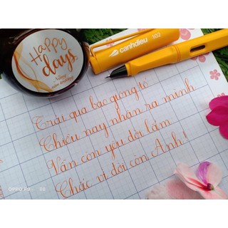 Bút Cánh diều 102 ngòi lá tre
