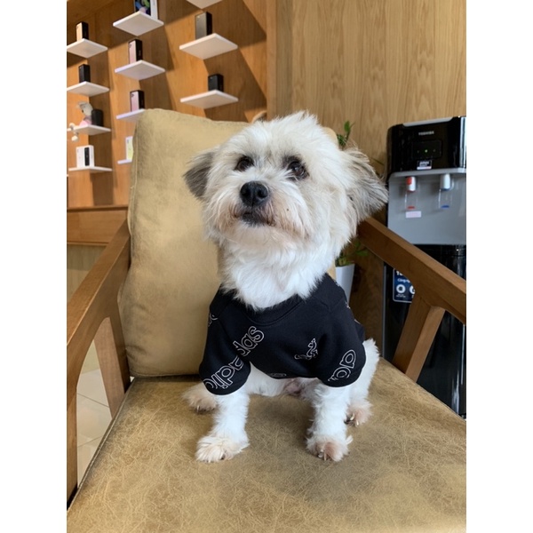 Áo nỉ Adidas cho chó mèo