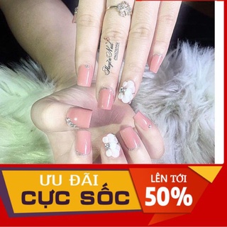 hoa cúc tròn- hoa bột nail
