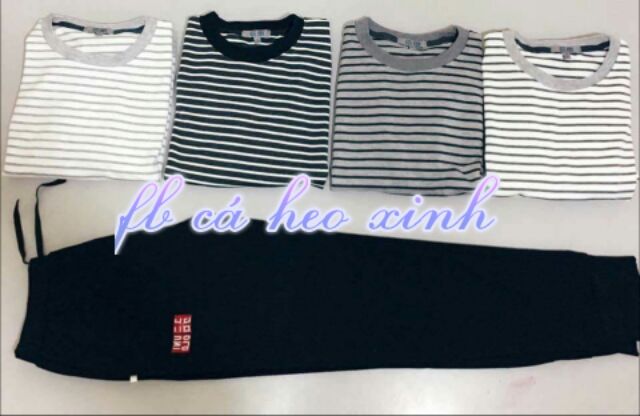 Bộ nỉ nam uniqlo hàng cty xuất dư