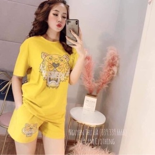Đồ bộ thể thao❤FREESHIP❤Đồ bộ mặc nhà