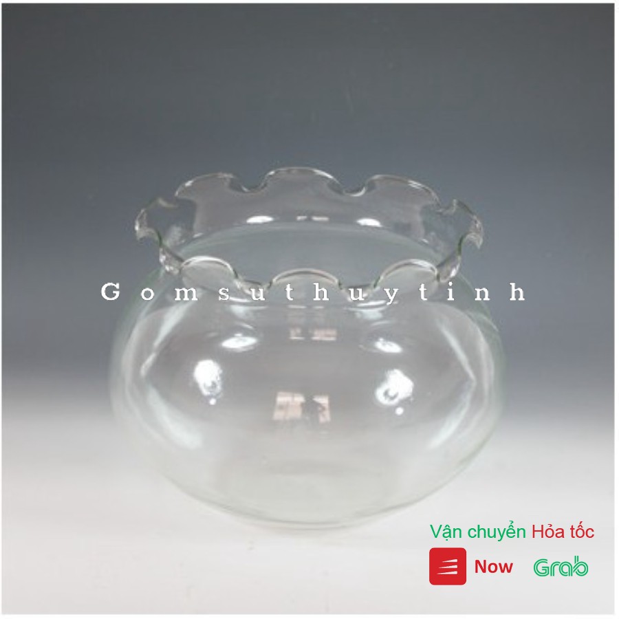 BỂ CÁ THỦY TINH HỒ CÁ CHẬU CÂU MIỆNG BÈO D24CM x 21CM B2