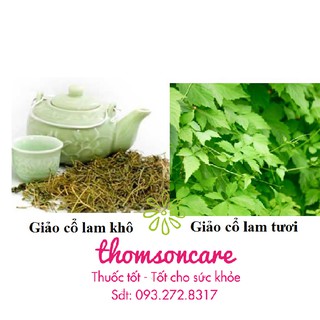Trà Giảo Cổ Lam Tuệ Linh
