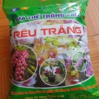 Rêu trắng giá thể trồng lan