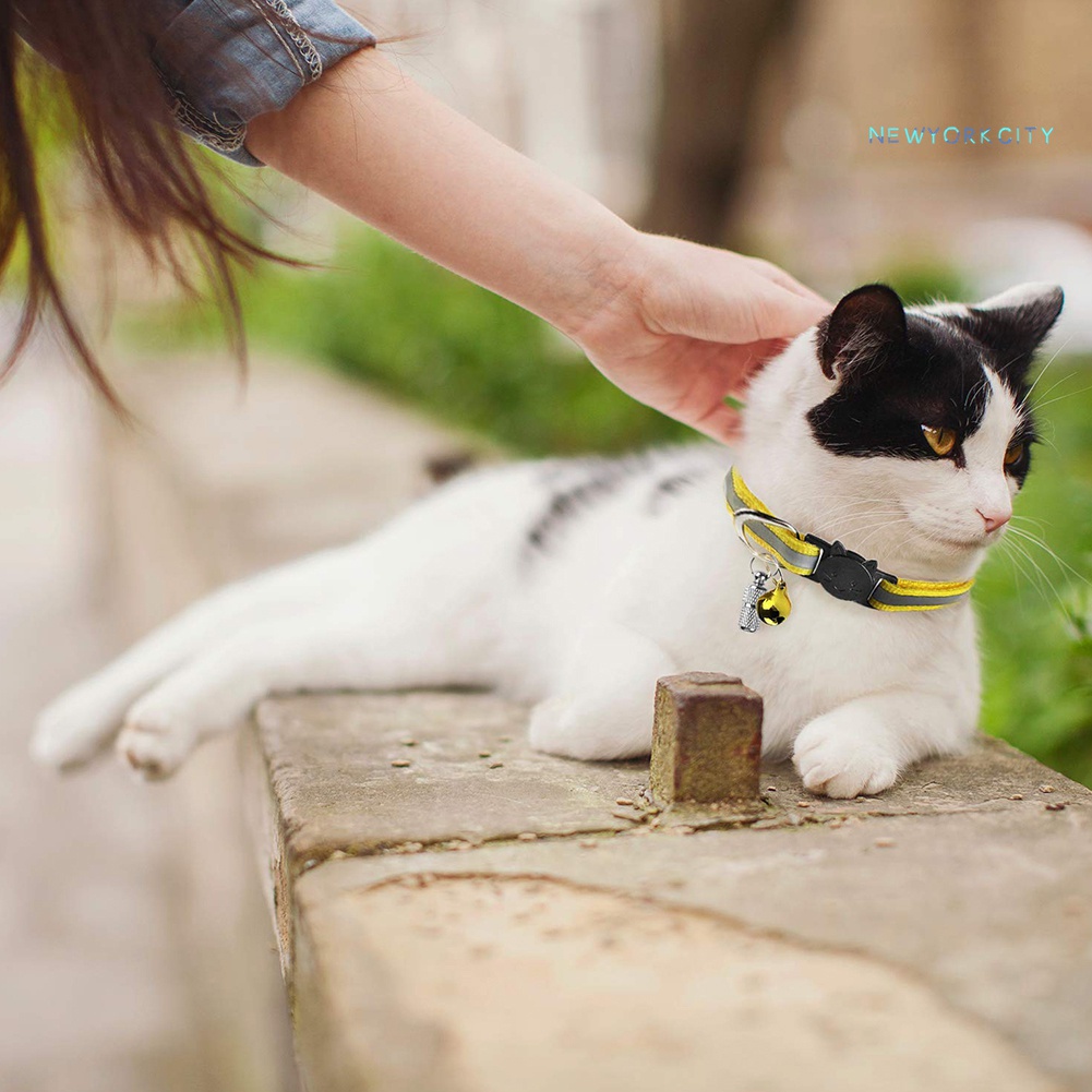 Vòng Cổ Phản Quang Điều Chỉnh Được Cho Thú Cưng