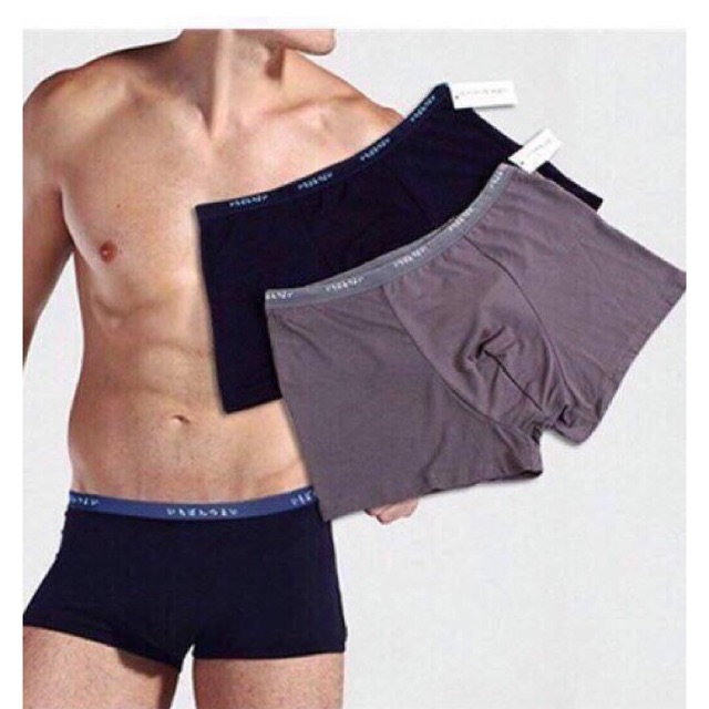 (Hộp/2c) Quần sịp đùi nam- Quần lót đùi nam, cotton lạnh.