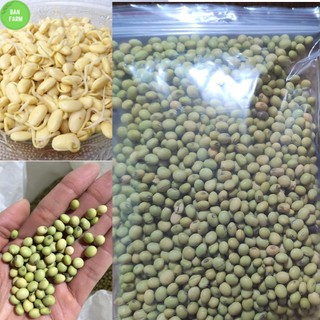 1kg đỗ tương làm mầm đậu nành – đỗ tương quê hạt mẩy đẹp