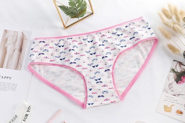 [Có video sản phẩm] Set 5 quần lót cotton mềm mại freesize H005 | BigBuy360 - bigbuy360.vn