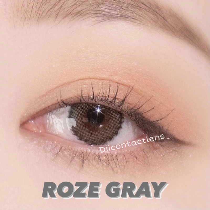 Kính áp tròng ROZE GRAY