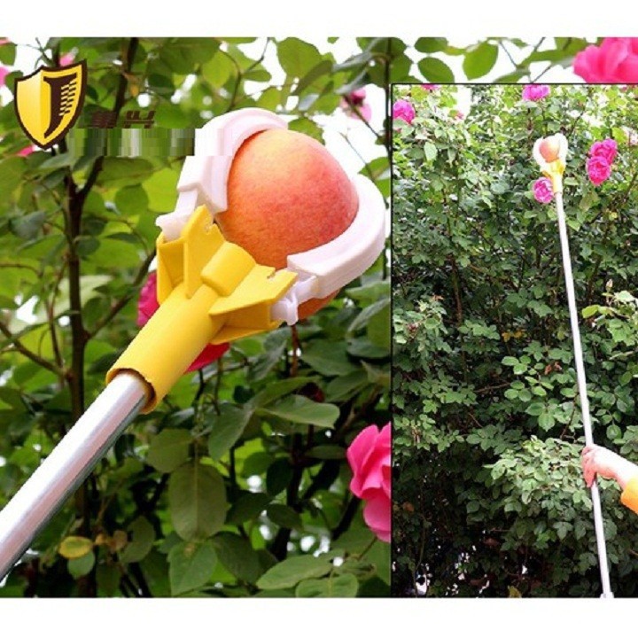 Dụng cụ hái trái cây tiện lợi bằng kim loại dài 2 mét không làm rơi quả