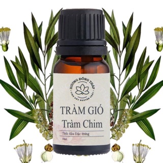 Tinh dầu Tràm Gió