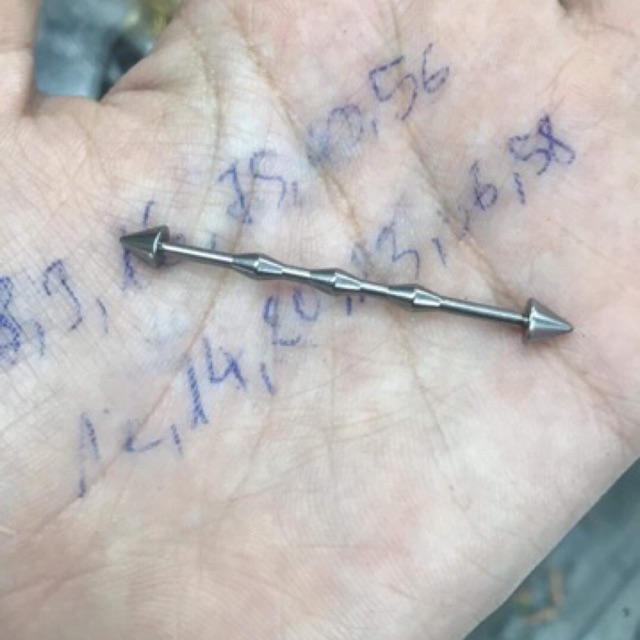 Khuyên Indus có gân 2 đầu bi nhọn