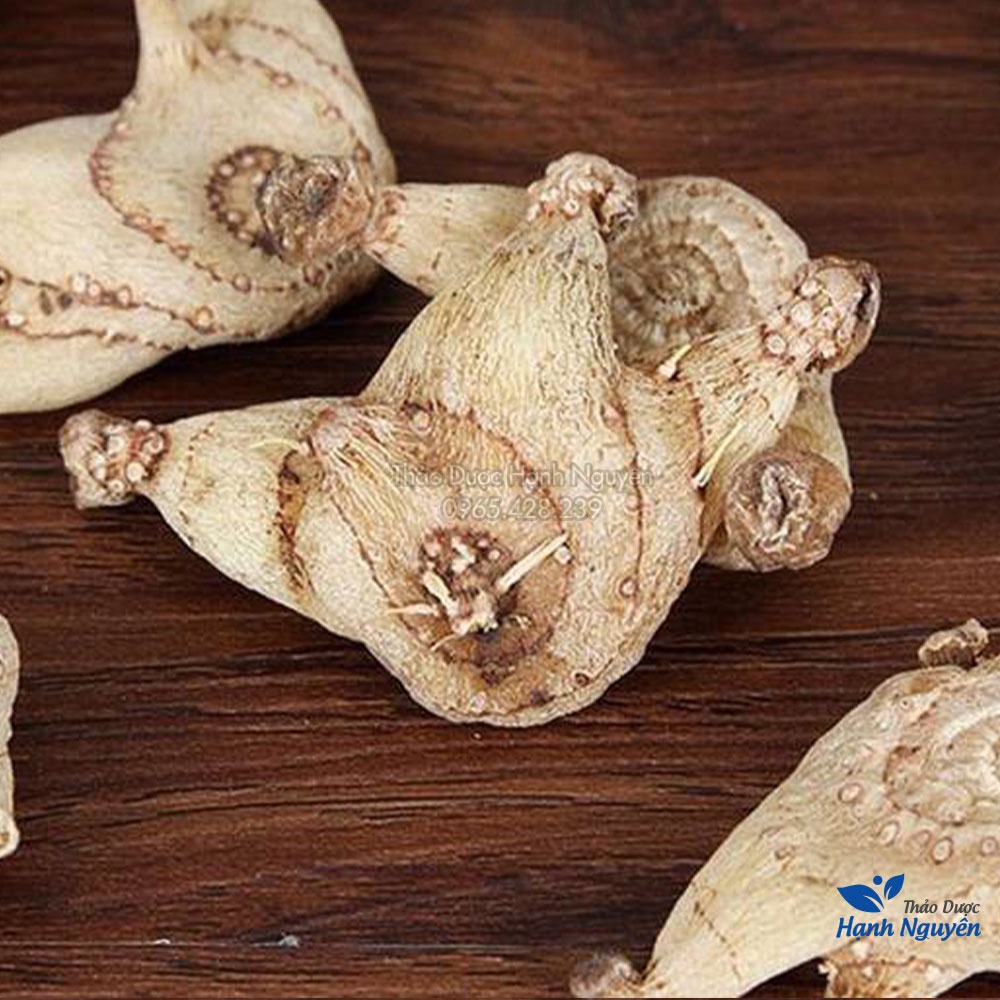 Bạch cập khô cao cấp (Bổ phế, mau lành vết thương) - Thảo Dược Hạnh Nguyên