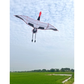 Diều chim hạc 3m siêu siêu đẹp dễ thả