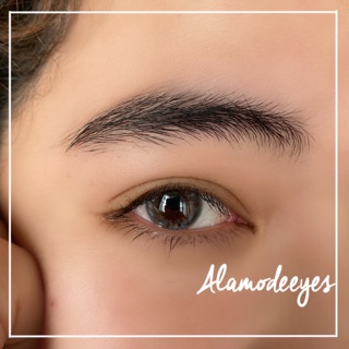 Lens xám mặt nước