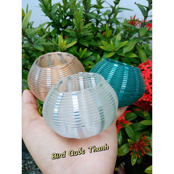 Giỏ cước cu đất