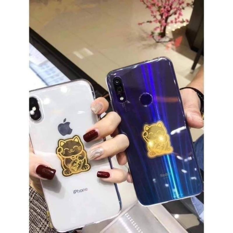 Mèo vàng dán sau điên thoại