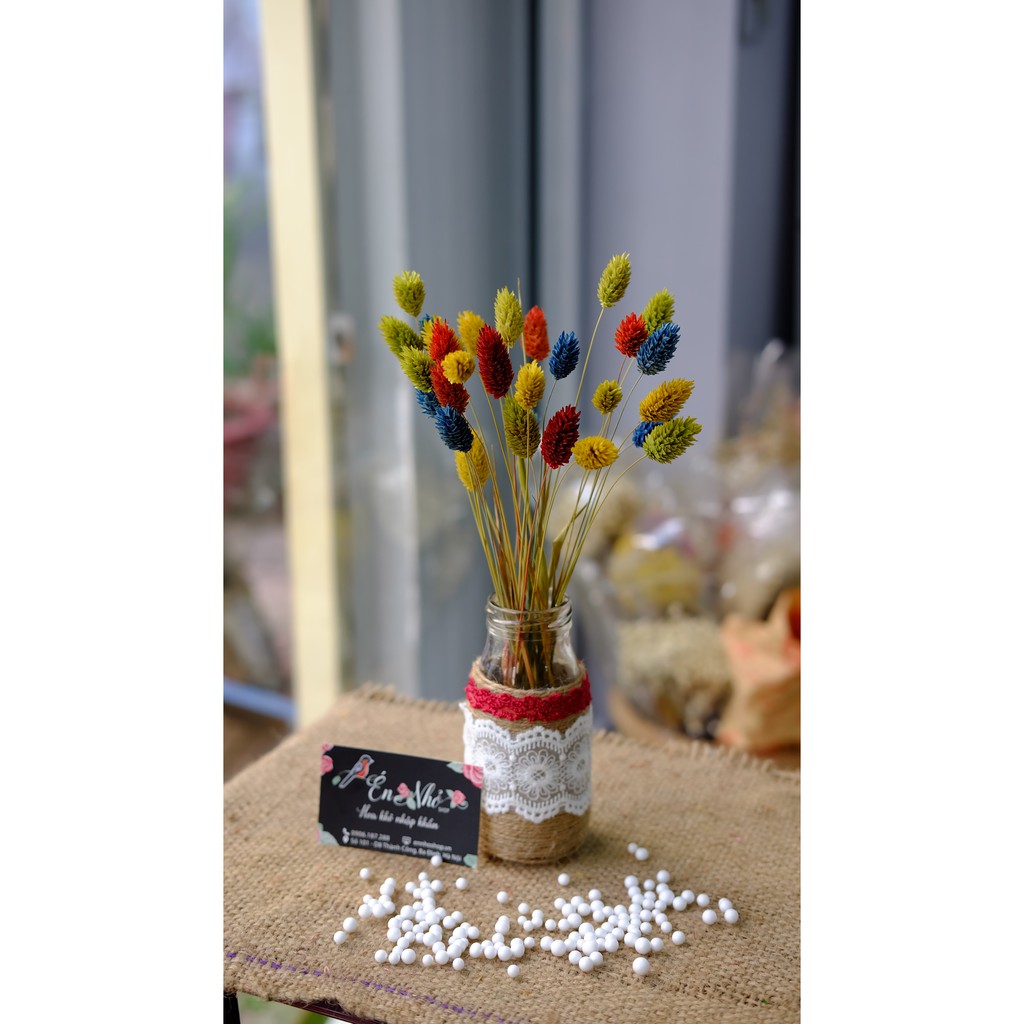 Lọ hoa khô trang trí Phalaris Hà Lan phong cách vintage