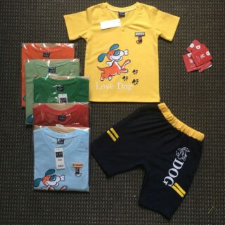 Combo 5 bộ bé trai nhiều mẫu