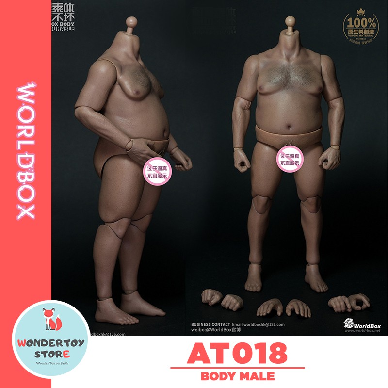 Mô hình cơ thể nam Male Body AT018 Worldbox tỉ lệ 1/6