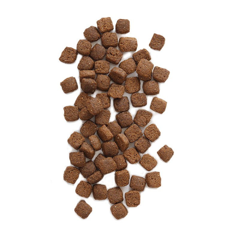 Hạt Earthborn Holistic Grain Free cho chó 2,5kg