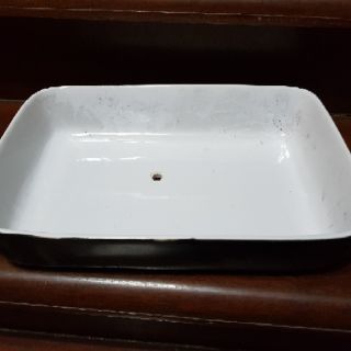 Chậu trông sen đá size to