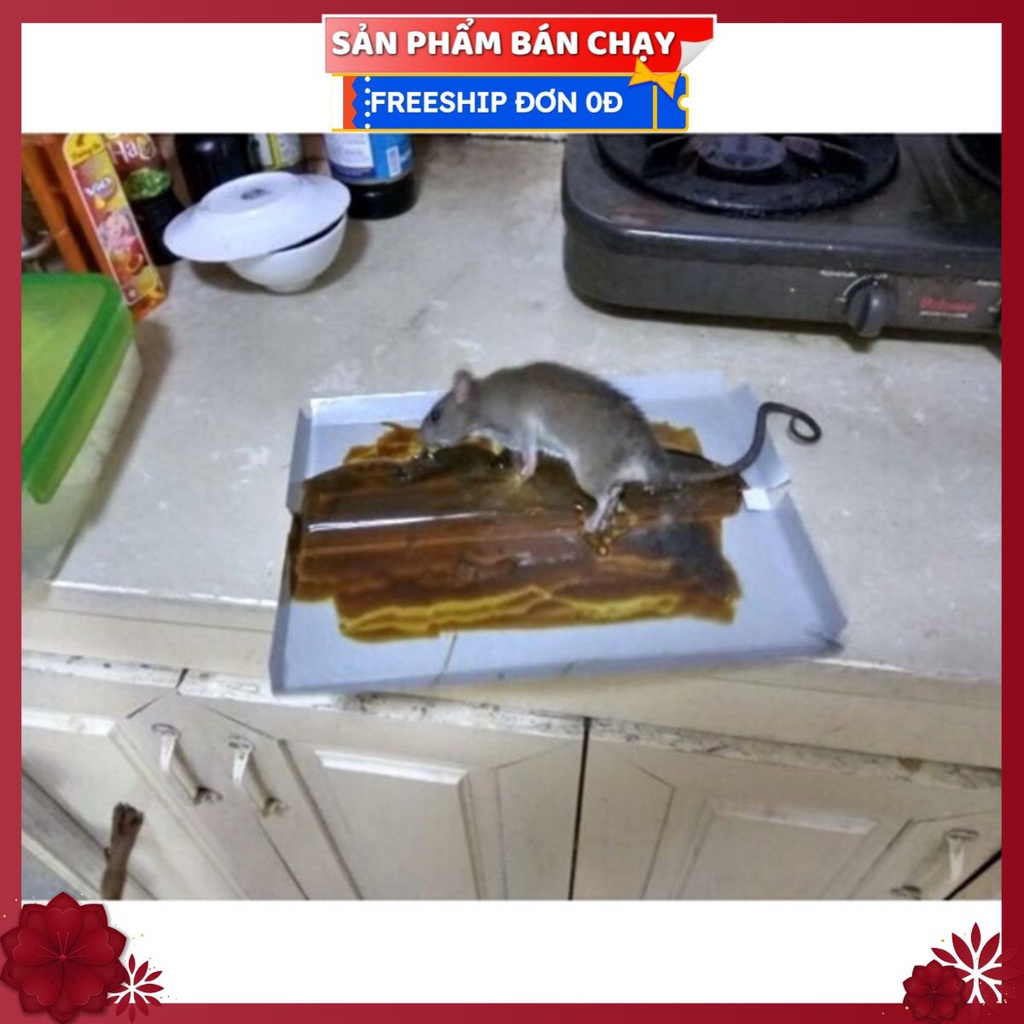 Sỉ Lẻ Keo Dính Chuột Chất Lượng Cao Minh Phương, Đại Việt