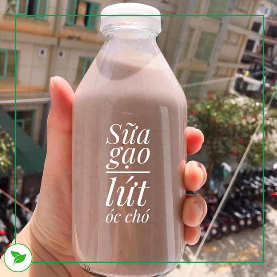 Chai Thủy Tinh, Chai Đựng Sữa Hạt 300ml - Combo 12 Chai