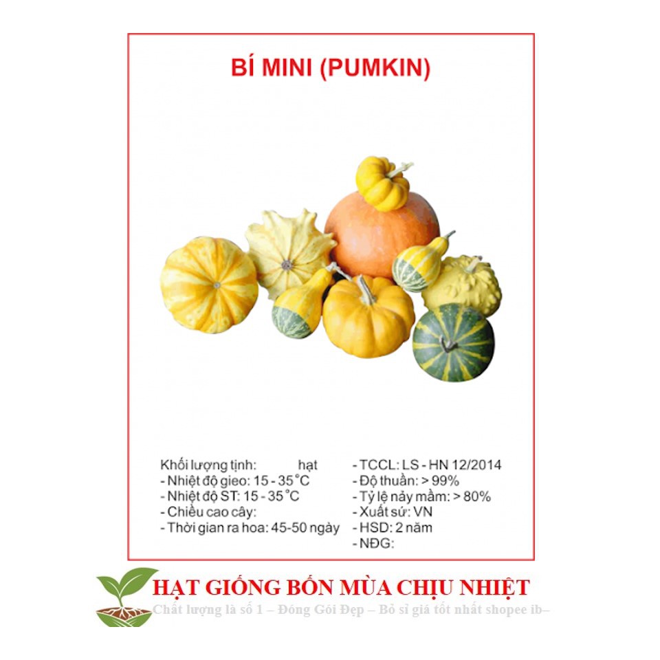 Hạt Giống Bí MIni - 10 Hạt ĐẾN MÙA TRỒNG TẾT