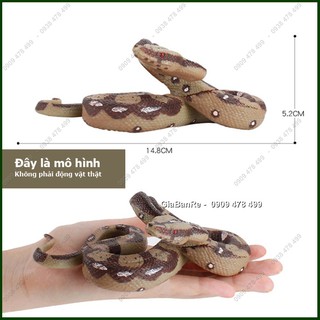Mô Hình Trăn Gấm - 7669.8