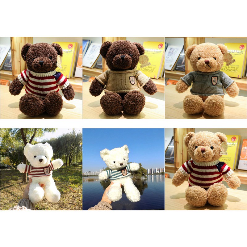 Gấu nhồi bông đáng yêu loại 30cm